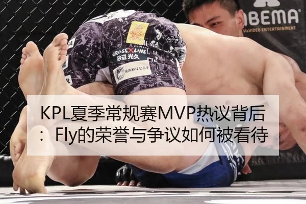 KPL夏季常规赛MVP热议背后：Fly的荣誉与争议如何被看待